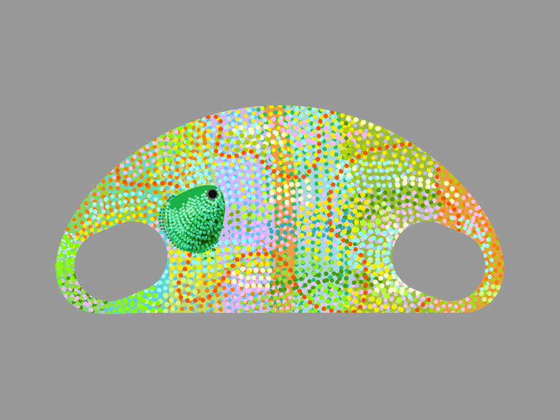 SD 8 / Chameleon | Design by Ivo Kren