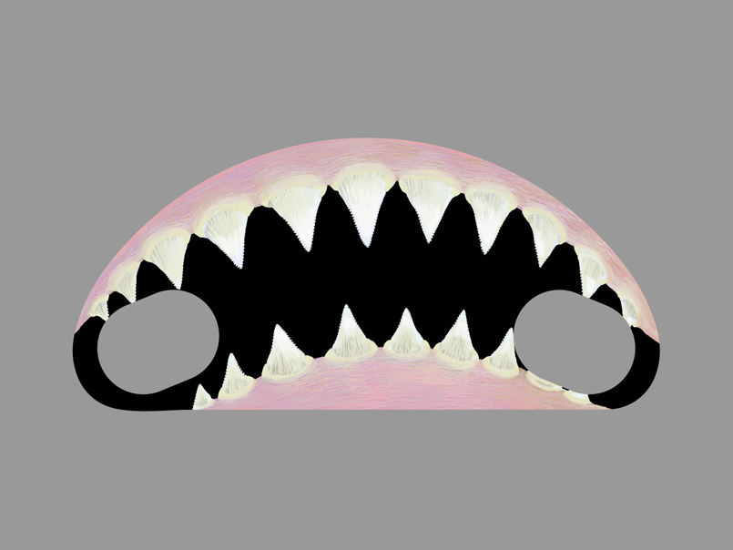 SD 19 / Great White / Drawing by Ivo Kren