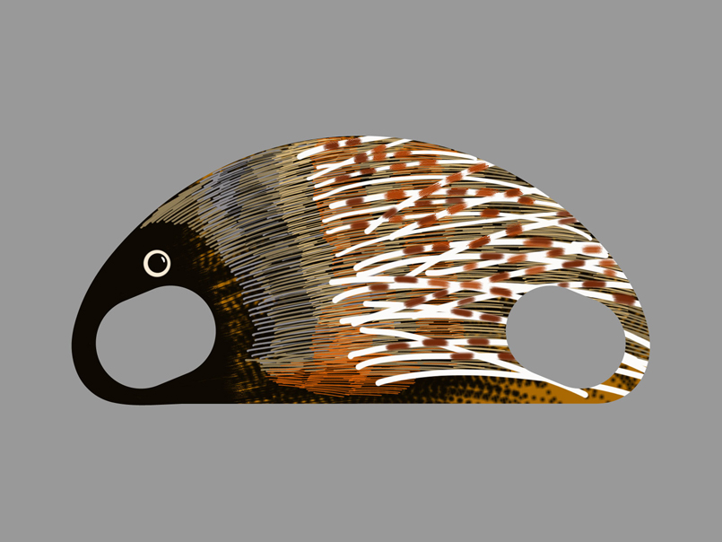 SD 36 / Porcupine / Drawing by Ivo Kren