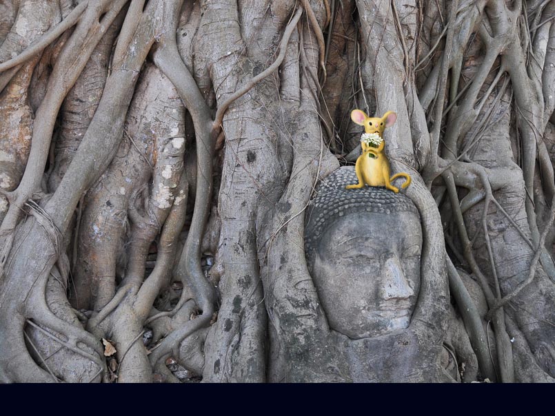 Tommy carrying a flower gift for an ancient prince