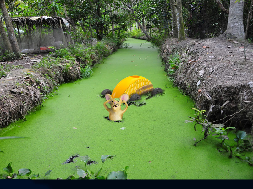 Tommy´s petty canine inconvenience while in search for a ford crossing