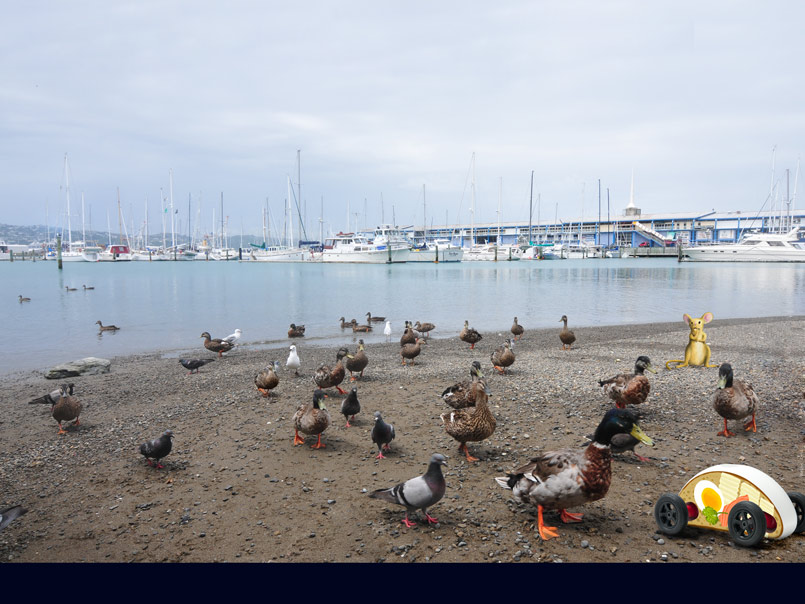 Envious birds gaping at Tommy´s new car